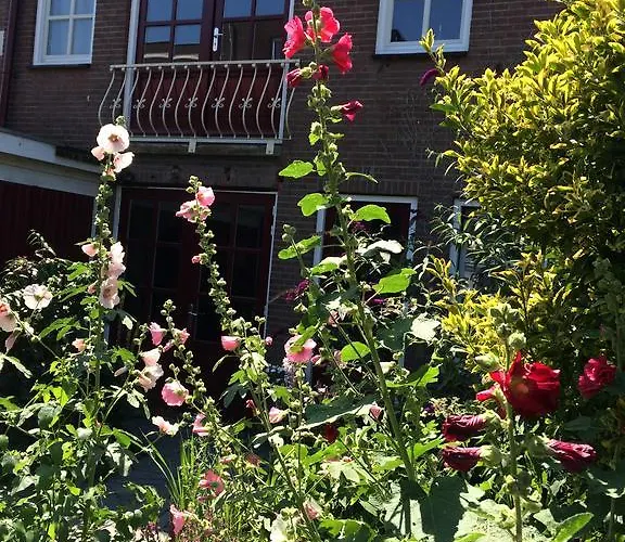 Appartement Door De Poort Tilburg